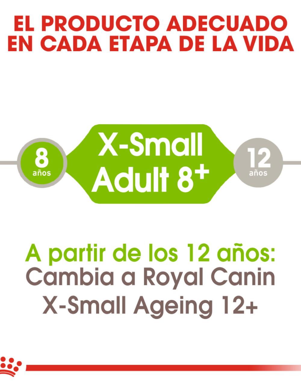 paratumascota.shop - Perros - Alimentacin - ROYAL CANIN X-SMALL +8 (1,5KG) - Foto 4