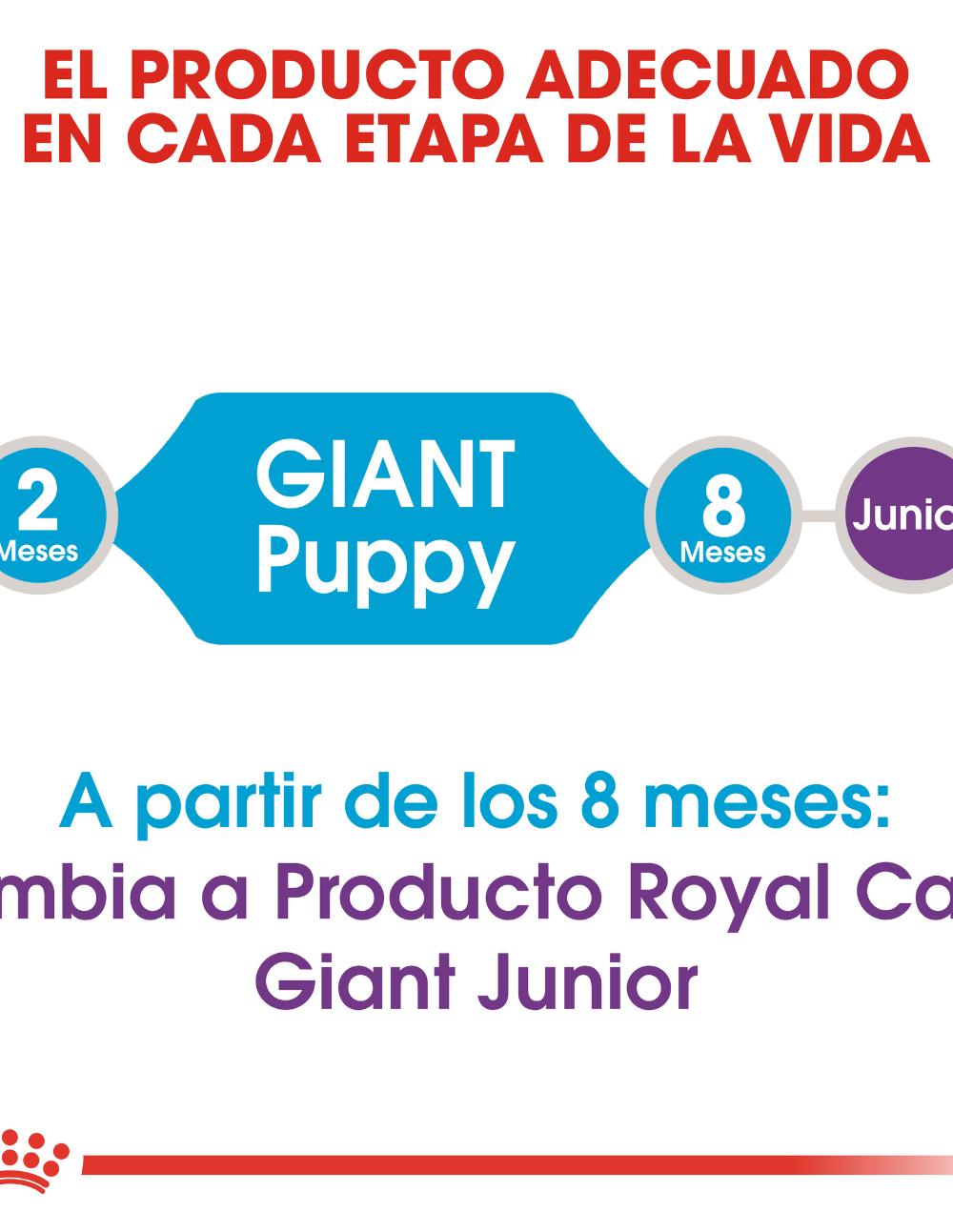 paratumascota.shop - Perros - Alimentacin - ROYAL CANIN PUPPY GIANT (15KG) - Foto 4