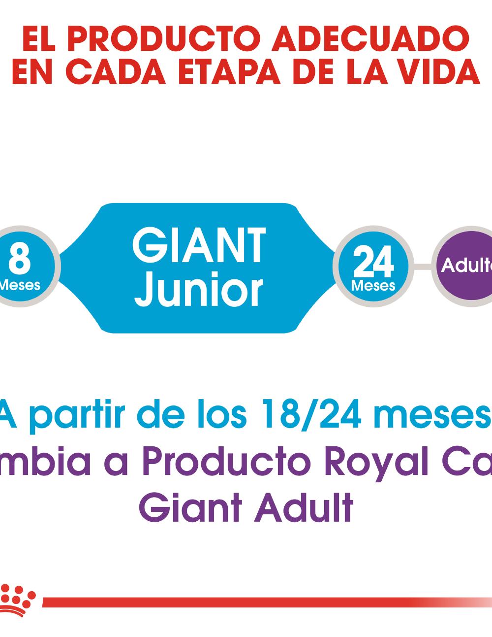 paratumascota.shop - Perros - Alimentacin - ROYAL CANIN GIGANT JUNIOR (15KG) - Foto 4