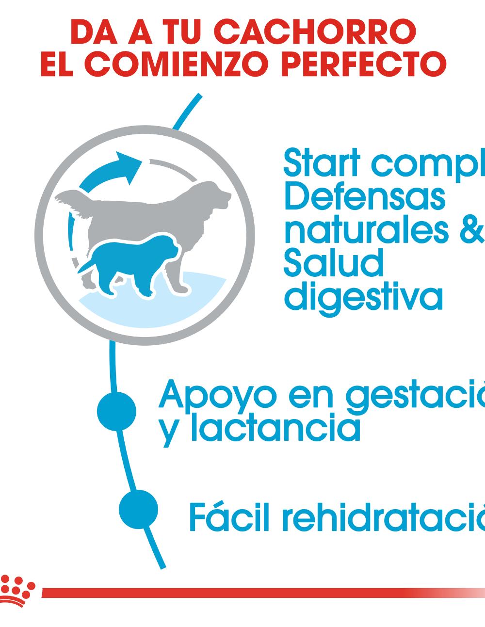 paratumascota.shop - Perros - Alimentacin - ROYAL CANIN STARTER MOTHER & BABYDOG GIANT (15KG) - Foto 3