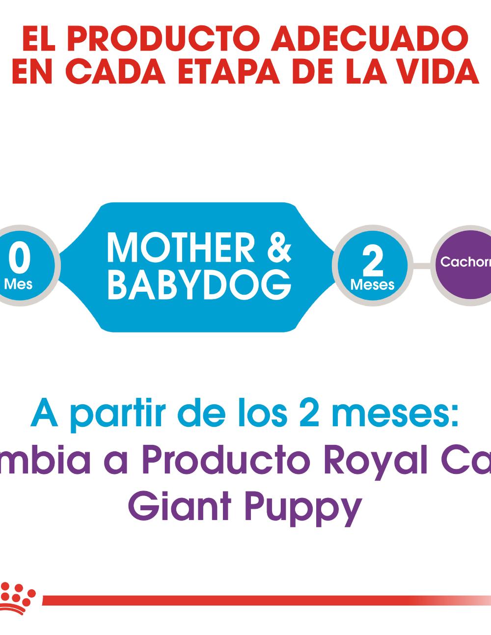 paratumascota.shop - Perros - Alimentacin - ROYAL CANIN STARTER MOTHER & BABYDOG GIANT (15KG) - Foto 4