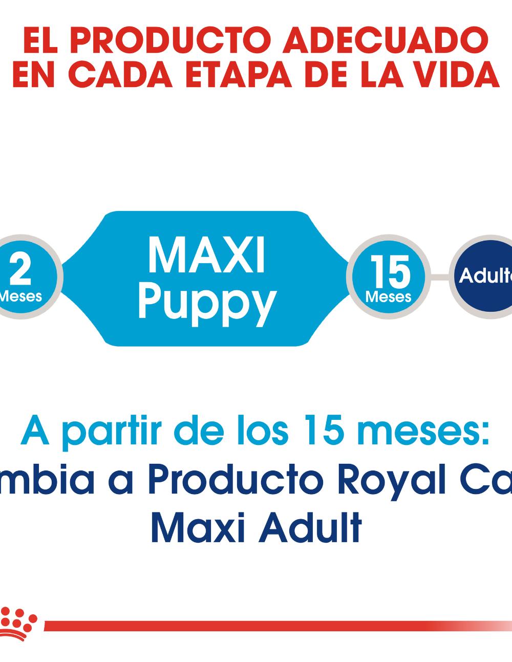 paratumascota.shop - Perros - Alimentacin - ROYAL CANIN MAXI PUPPY - Foto 4