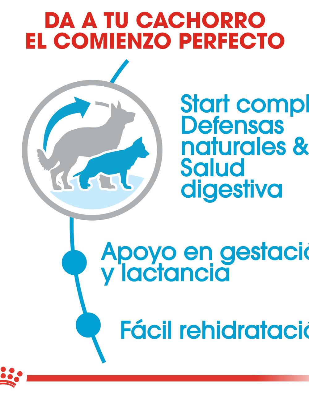 paratumascota.shop - Perros - Alimentacin - ROYAL CANIN STARTED MOTHER & BABYDOG MAXI - Foto 4