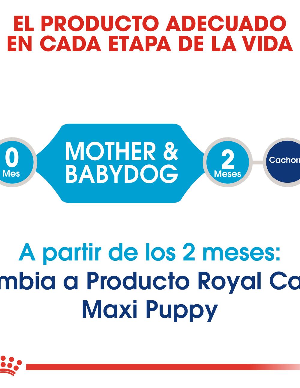 paratumascota.shop - Perros - Alimentacin - ROYAL CANIN STARTED MOTHER & BABYDOG MAXI - Foto 3