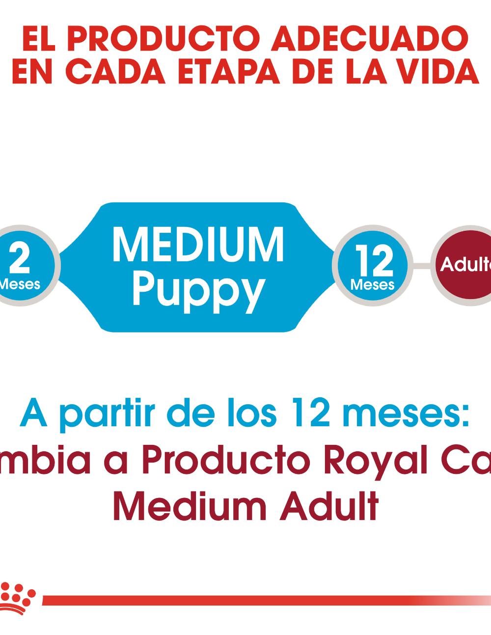 paratumascota.shop - Perros - Alimentacin - ROYAL CANIN MEDIUM PUPPY - Foto 4