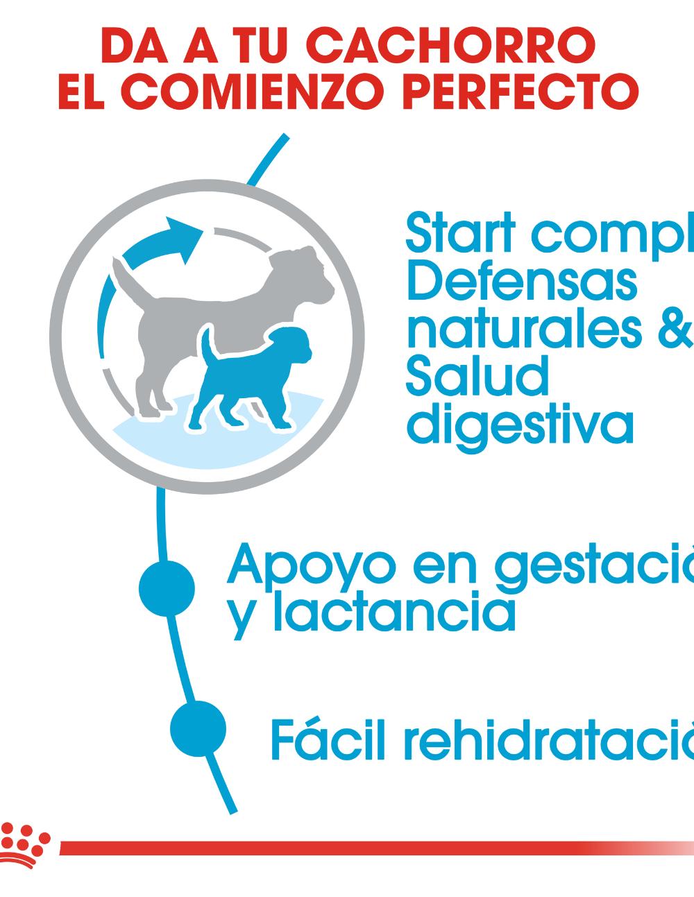 paratumascota.shop - Perros - Alimentacin - ROYAL CANIN STARTER MOTHER & BABY MINI - Foto 4