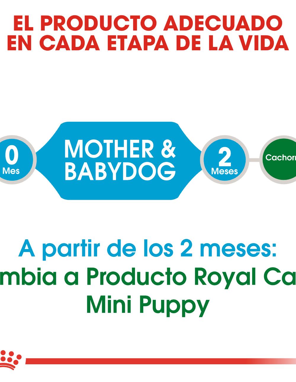 paratumascota.shop - Perros - Alimentacin - ROYAL CANIN STARTER MOTHER & BABY MINI - Foto 3