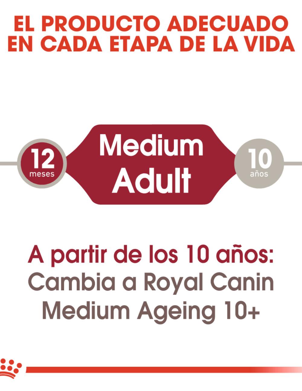 paratumascota.shop - Perros - Alimentacin - ROYAL CANIN MEDIUM ADULT SALSA - Foto 4