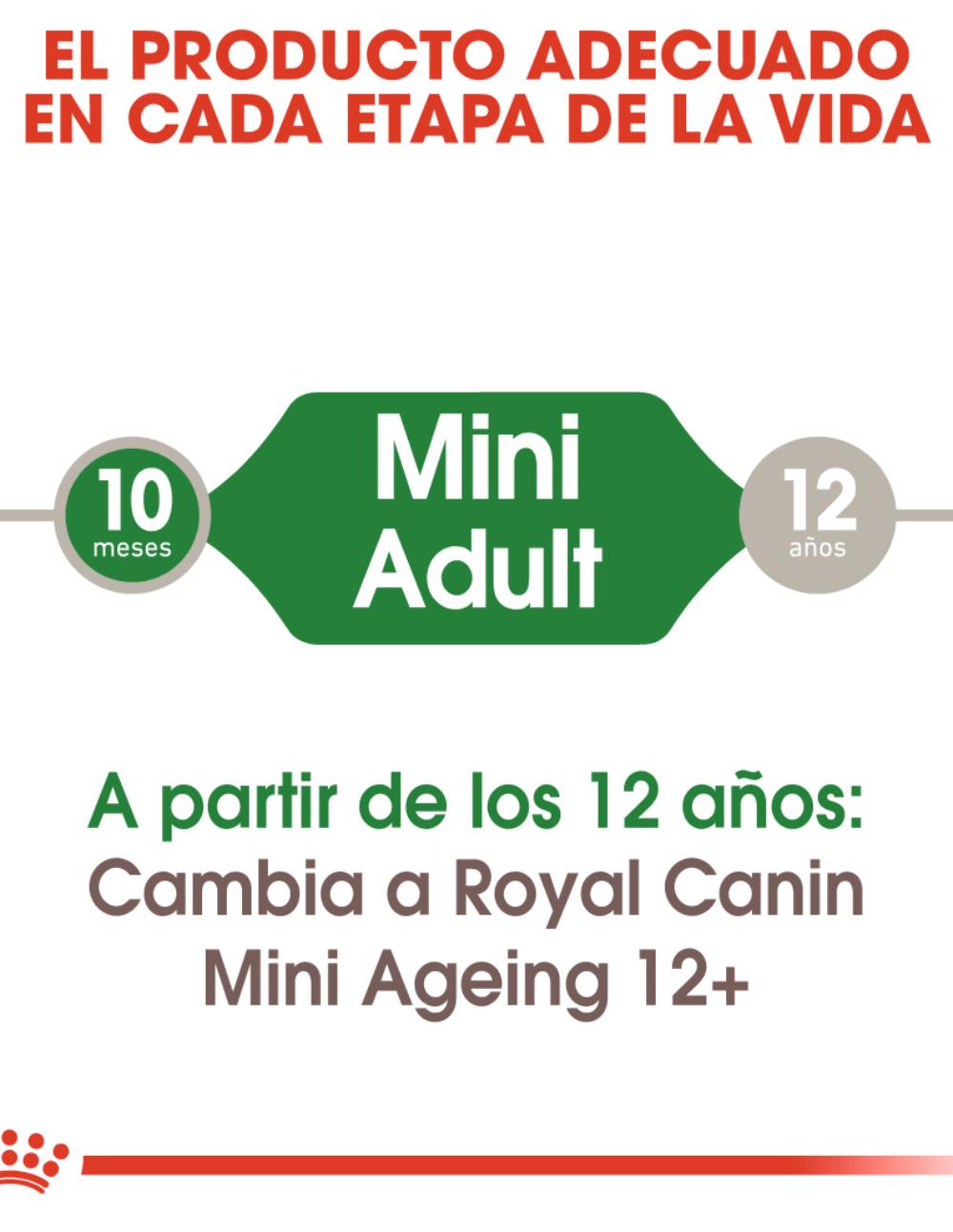 paratumascota.shop - Perros - Alimentacin - ROYAL CANIN MINI ADULT SALSA - Foto 4