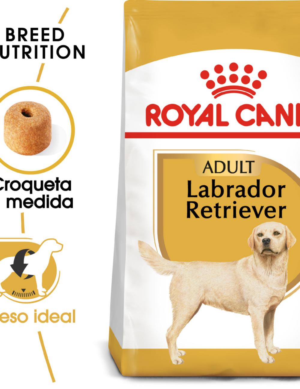 paratumascota.shop - Perros - Alimentacin - ROYAL CANIN LABRADOR RETRIEVER - Foto 2