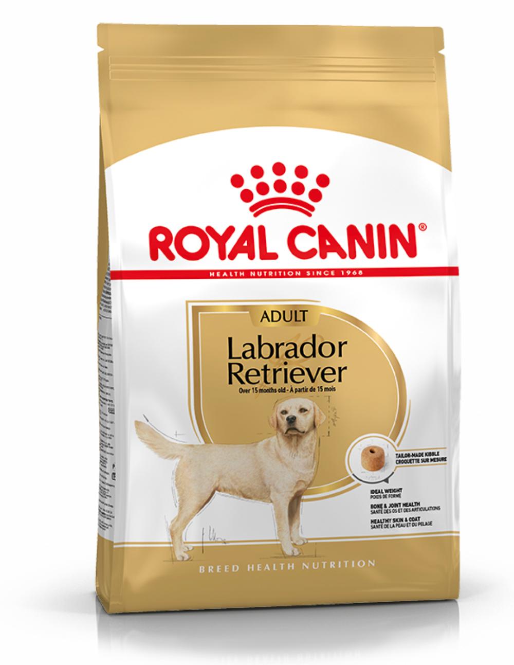 paratumascota.shop - Perros - Alimentacin - ROYAL CANIN LABRADOR RETRIEVER - Foto 1